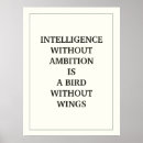 Suche nach intelligenz poster Zitat