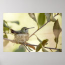 Suche nach nester poster Vögel