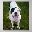 Suche nach verfolgt poster Hunde