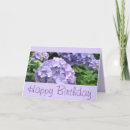 Suche nach lila hydrangeas karten Für sie