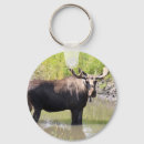 Suche nach antilope schlüsselanhänger Tier