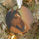 Suche nach wildpferde ornamente Hengst