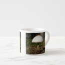 Suche nach shroom Natur
