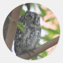 Suche nach eule in einem baum aufkleber Vögel
