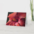 Suche nach hibiskus karten Mutter
