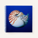 Suche nach nautilus kleine notizbücher Unterwasser