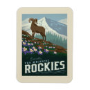 Suche nach rockies magnete Kakteen