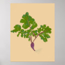 Suche nach vegane poster Gemüse