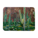 Suche nach saguaro cactus magnete Arizona