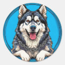 Suche nach zäh aufkleber Huskies
