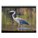 Suche nach wasservögel kalender Sandstrand