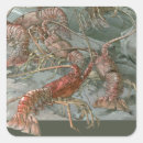 Suche nach hummer aufkleber Krebse