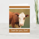 Suche nach funny cow karten Lustig