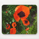 Suche nach poppies mousepads Orange