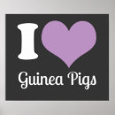 Suche nach guinea poster Schweine