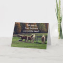 Suche nach spott karten Jede person