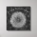 Suche nach löwenzahn poster leinwandbilder Blume