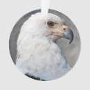 Suche nach regal ornamente Jede person