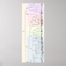 Suche nach sich entwickeln poster Evolution