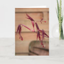 Suche nach ahorn karten Frühling