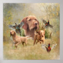 Suche nach vizsla poster Jagd