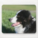 Suche nach pam mousepads Sich hinlegen