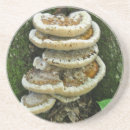 Suche nach regal untersetzer Natur