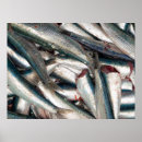 Suche nach sardine poster Meer