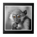 Suche nach monkey fliesen Affe