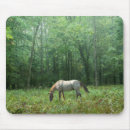 Suche nach pferd mousepads Stallion