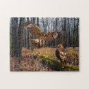 Suche nach falke puzzle Natur