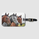 Suche nach schlitz accessoires Umbau