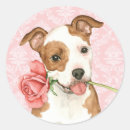 Suche nach amstaff aufkleber Liebe