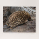 Suche nach furry puzzle Für alle