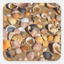 Suche nach sand und muscheln aufkleber Nautisch