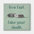 Suche nach fake magnete Für alle