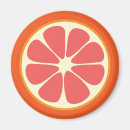 Suche nach citrus magnete Küche
