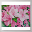 Suche nach azaleen poster Blüten