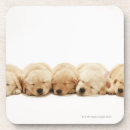 Suche nach golden retriever untersetzer Haustiere