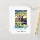 Suche nach almen postkarten Berge