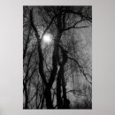 Suche nach baum silhouetten poster Jede person