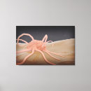 Suche nach wissenschaft leinwandbilder Mikroskopisch