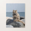 Suche nach windig puzzle Blau