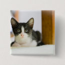 Suche nach neugier buttons Babytiere