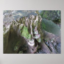 Suche nach baumstumpf kunst Pilz