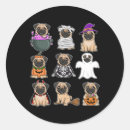 Suche nach halloween mops aufkleber Katze