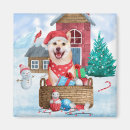 Suche nach shiba inu magnete Weihnachten