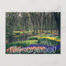 Suche nach keukenhof postkarten Tulpen