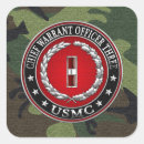 Suche nach führerschein aufkleber Usmc cwo3 rangniedrige insignien