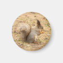 Suche nach eichhörnchen mit nuss magnete Bezaubernd